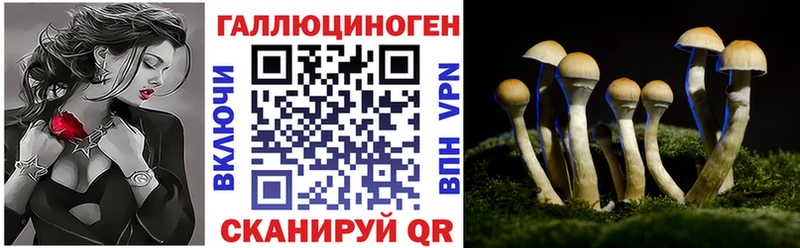продажа наркотиков  Маркс  сайты даркнета наркотические препараты  Галлюциногенные грибы MAGIC MUSHROOMS 
